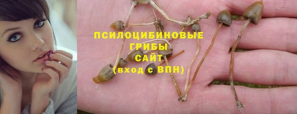 кокс Арсеньев