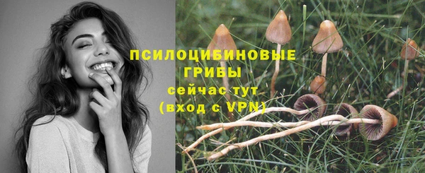 кокс Арсеньев