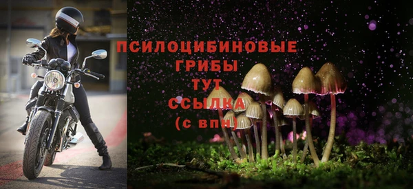 кокс Арсеньев