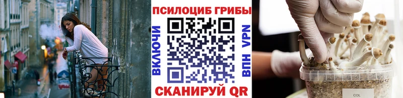 Псилоцибиновые грибы ЛСД  Любим 