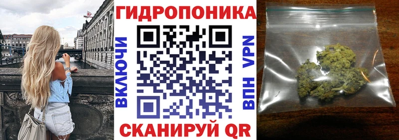сколько стоит  Любим  Бошки марихуана Bruce Banner 